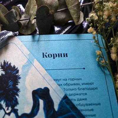 Карта навыков «Корни»